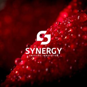 Synergy Premade Logo Preview