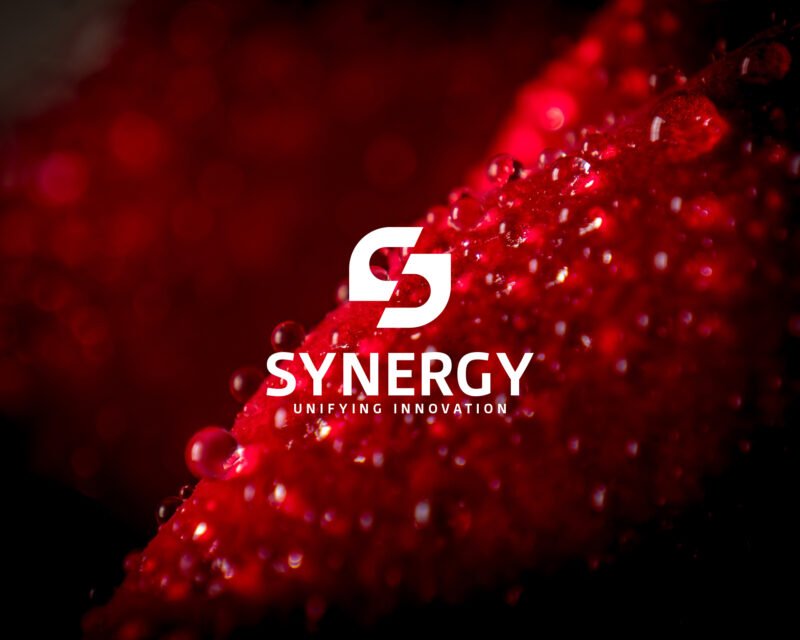 Synergy Premade Logo Preview